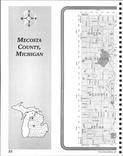 Index Map 1, Mecosta County 2003